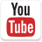 Seguimi su YouTube youtube
